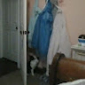 Meet your Posher, Kylee